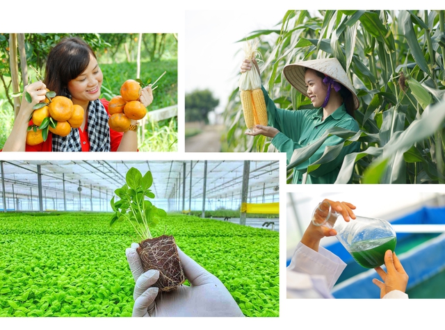 Chỉ đạo, điều hành của Chính phủ, Thủ tướng Chính phủ nổi bật tháng 5/2024